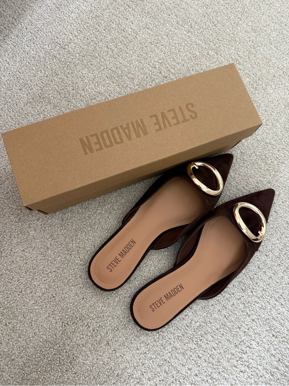 Steve Madden Dark Brown Suede Pointed Mule with Gold Hardware